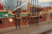 DSC_1530_resize.jpg