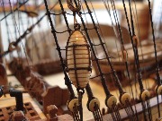 DSC04111.JPG
