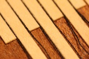 IMG_7424.JPG