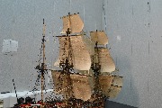 243.JPG