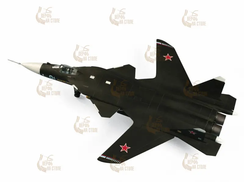 Самолет Су-47 "Беркут" (подарочный набор) Самолет Су-47 "Беркут" (подарочный набор)