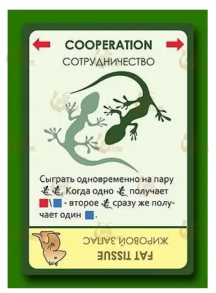 Настольная игра: Эволюция Настольная игра: Эволюция